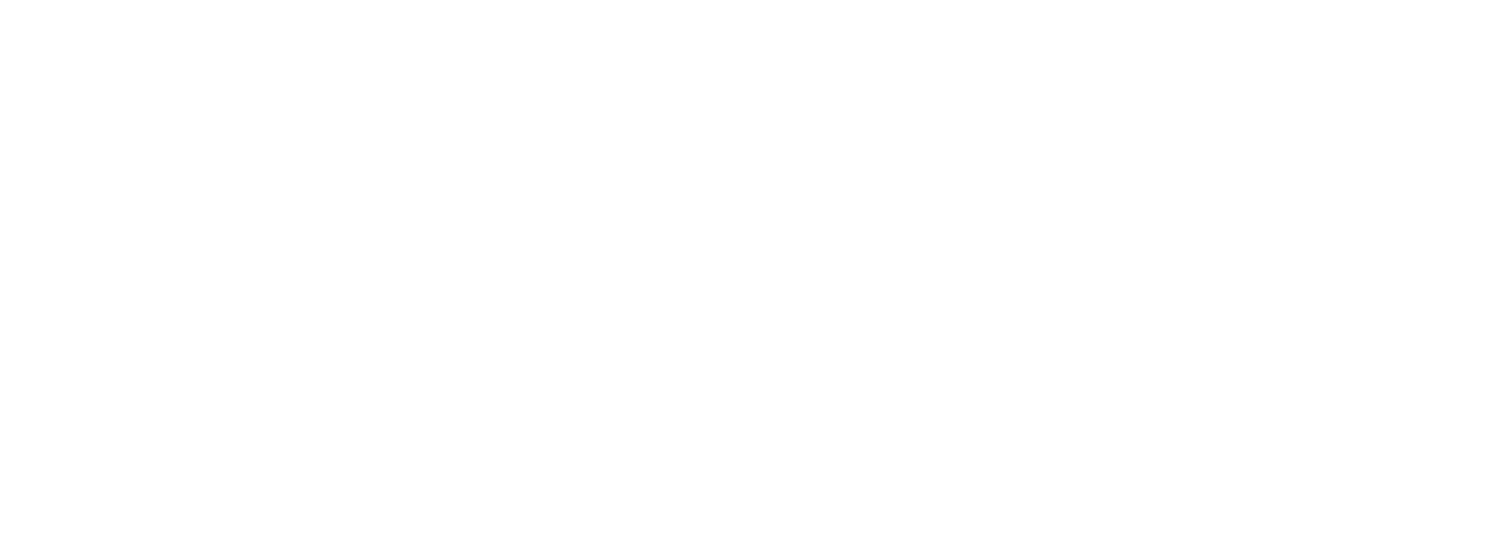 Elizabeth Girard: Candidate for New Hampshire's 1st Congressional District